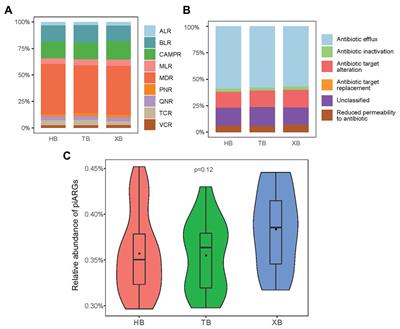 Evaluating the Potential Antibiotic Resistance Status in Environment Based on the Trait of Microbial Community